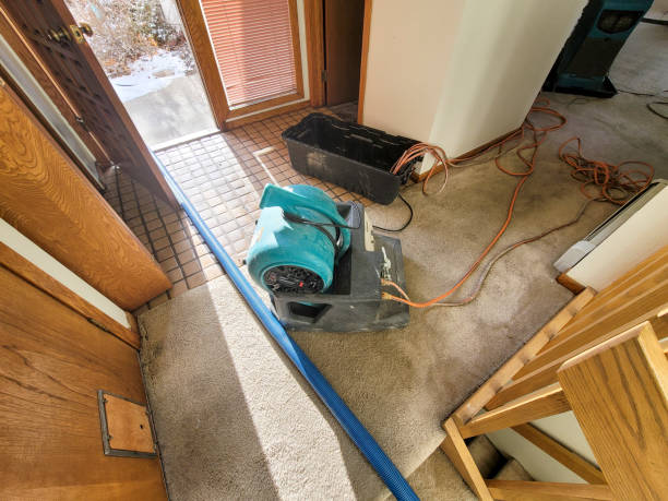 Best Water damage contractors near me  in Peoria, IL