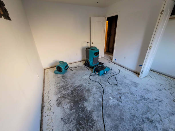 Best Flooded house restoration  in Peoria, IL
