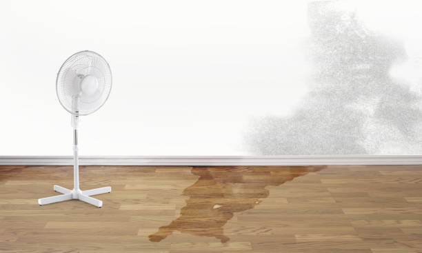 Best Water damage restoration near me  in Peoria, IL